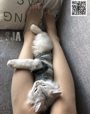 潜行者电视剧全集免费观看完整版