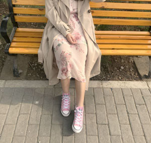 骡子和金子 电视剧