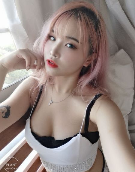 南来北往免费观看