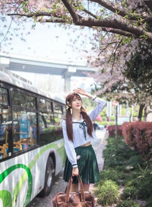 黑狐之风影免费观看