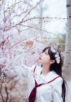 天地豪情
