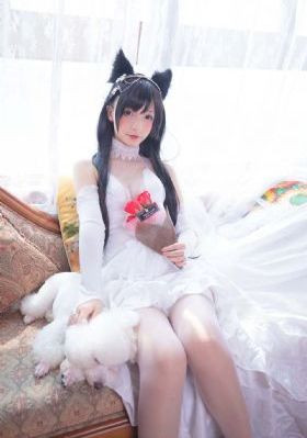 女总裁的无敌神王短剧免费观看